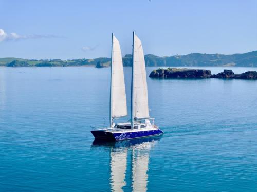 View Cool Change Charter Yacht Cool Change Luxury Charter Boat Paihia, Waitangi & Russell / Bay of Islands, Northland