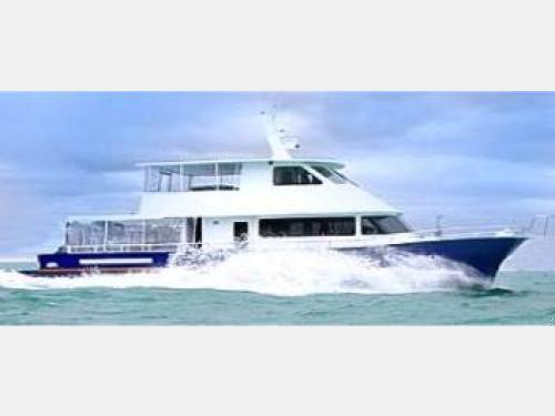 Dream Weaver Luxury Charter Boat Auckland / Auckland & Hauraki Gulf