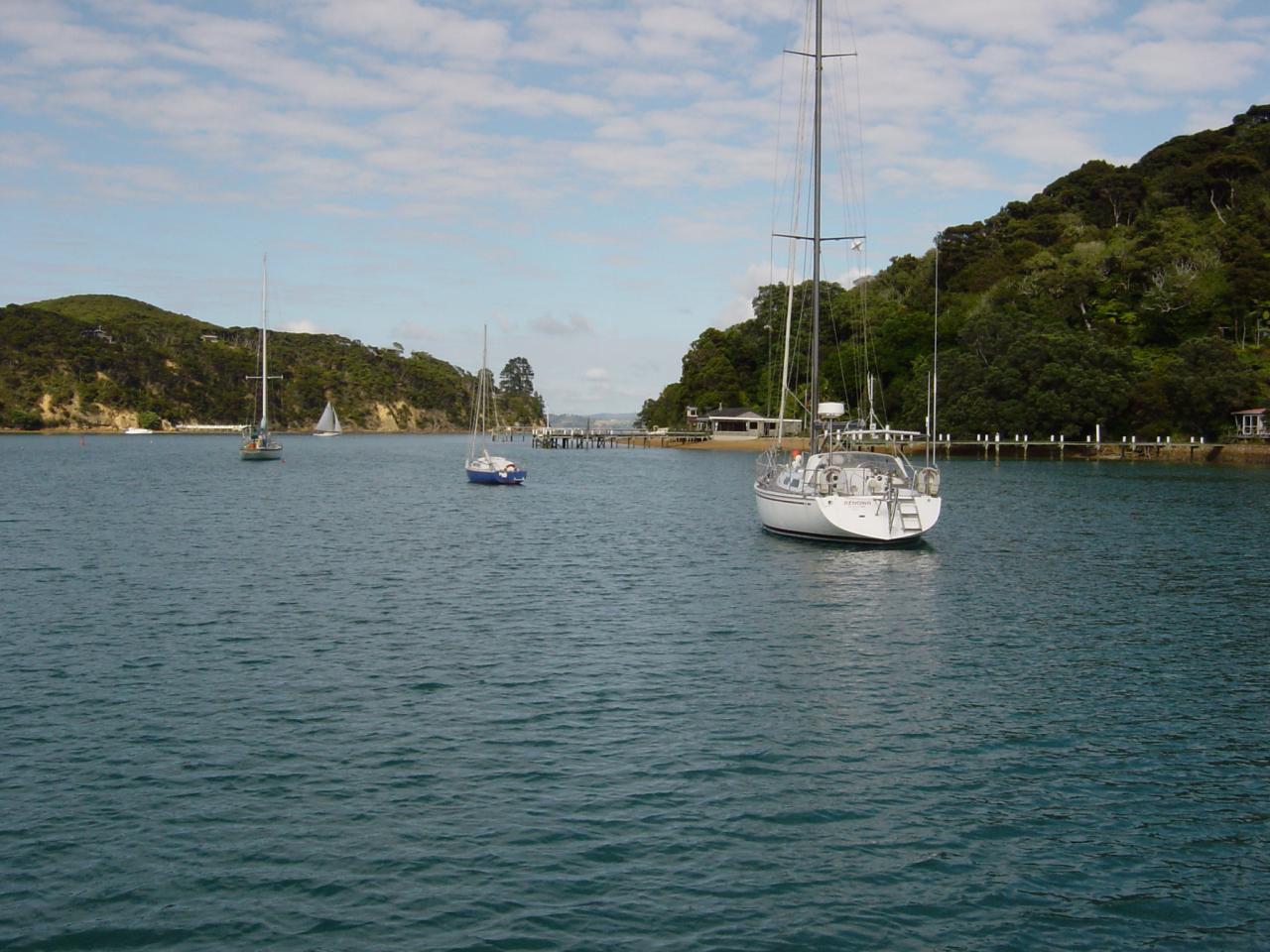 hauraki gulf yacht charter