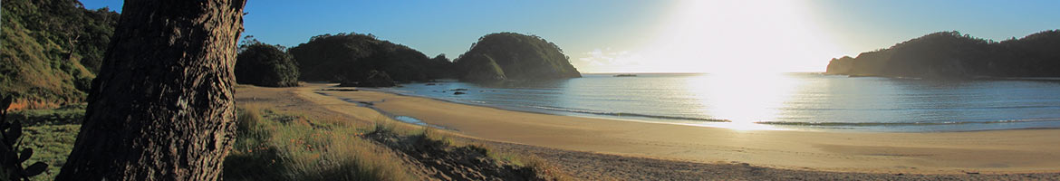 cruisingground-whangarei.jpg